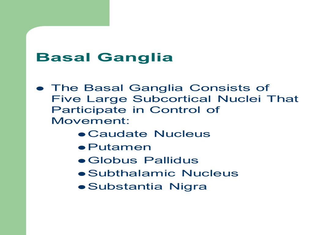 Basal Ganglia The Basal Ganglia Consists of Five Large Subcortical Nuclei That Participate in